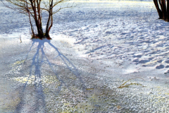 von-der-Tann0126b